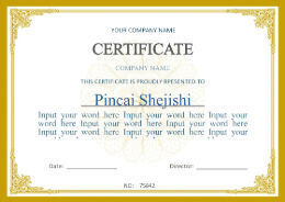 CHINA Beijing Silk Road Enterprise Management Services Co.,LTD certificaten